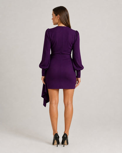 Draped Wrap Long Sleeve Mini Dress