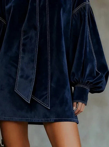 Velvet Tie Neck Balloon Sleeve Mini Dress